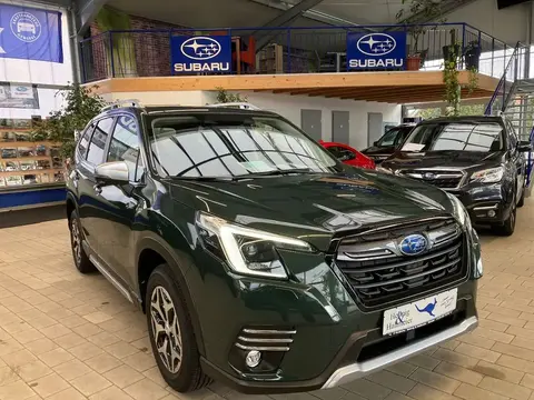 Used SUBARU FORESTER Petrol 2023 Ad 