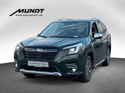 Used SUBARU FORESTER Petrol 2023 Ad 