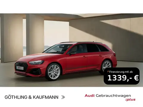 Used AUDI RS4 Petrol 2023 Ad 