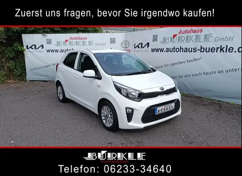 Used KIA PICANTO Petrol 2021 Ad 