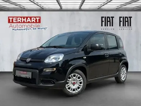 Used FIAT PANDA Petrol 2024 Ad 