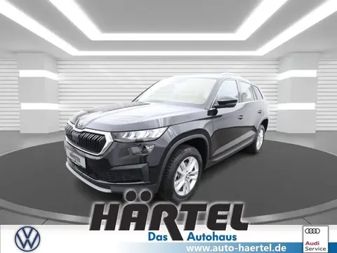 Used SKODA KODIAQ Diesel 2023 Ad 