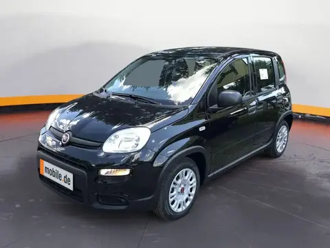 Used FIAT PANDA Petrol 2024 Ad 