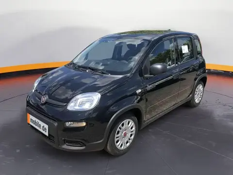 Used FIAT PANDA Petrol 2024 Ad 