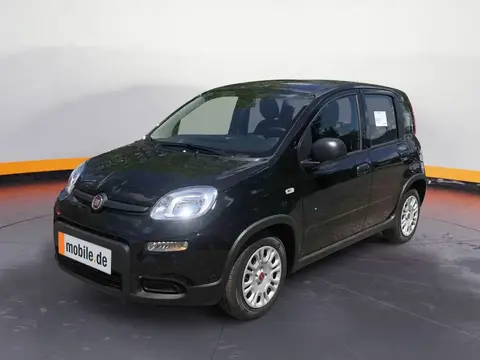 Used FIAT PANDA Petrol 2024 Ad 