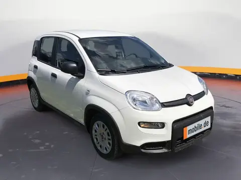 Used FIAT PANDA Petrol 2024 Ad 