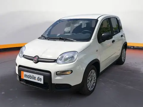 Used FIAT PANDA Petrol 2024 Ad 