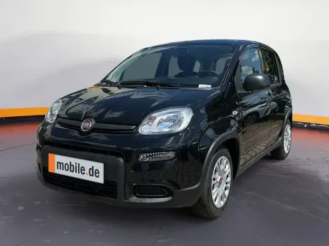 Used FIAT PANDA Petrol 2024 Ad 