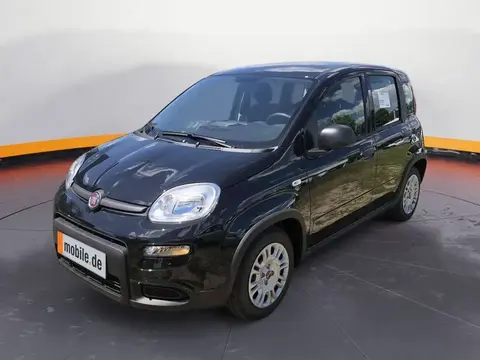 Used FIAT PANDA Petrol 2024 Ad 