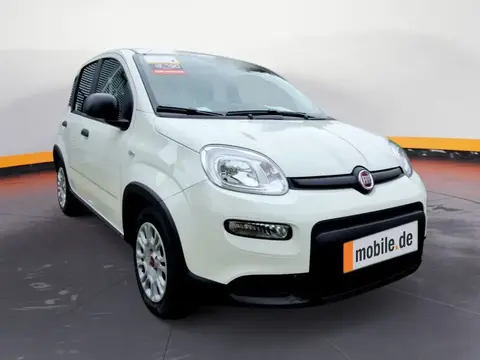 Used FIAT PANDA Petrol 2024 Ad 