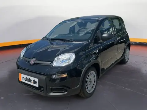 Used FIAT PANDA Petrol 2024 Ad 