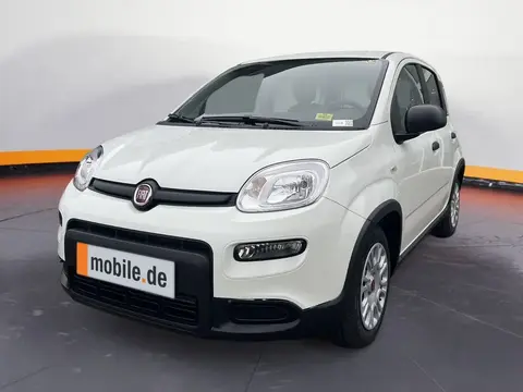 Used FIAT PANDA Petrol 2024 Ad 