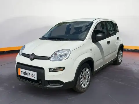 Used FIAT PANDA Petrol 2024 Ad 