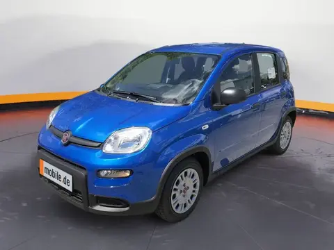 Used FIAT PANDA Petrol 2024 Ad 