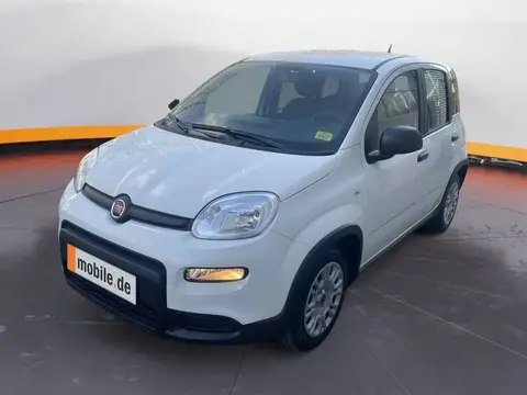 Used FIAT PANDA Petrol 2024 Ad 