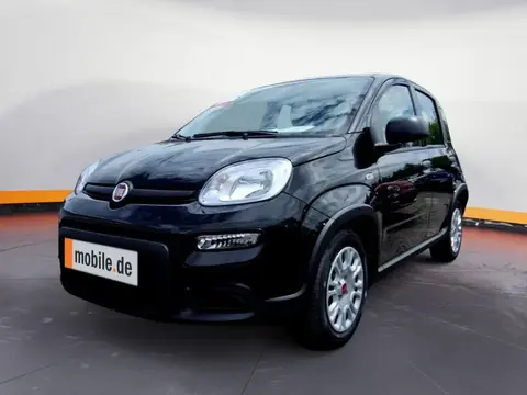 Used FIAT PANDA Petrol 2024 Ad 