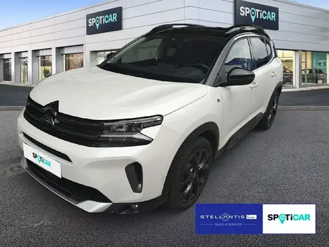 Annonce CITROEN C5 AIRCROSS Hybride 2023 d'occasion 