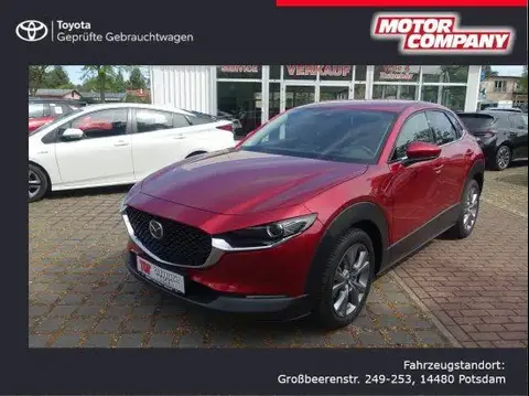 Annonce MAZDA CX-30 Essence 2023 d'occasion 