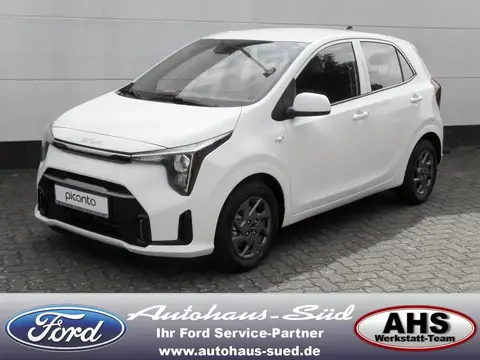 Used KIA PICANTO Petrol 2024 Ad 