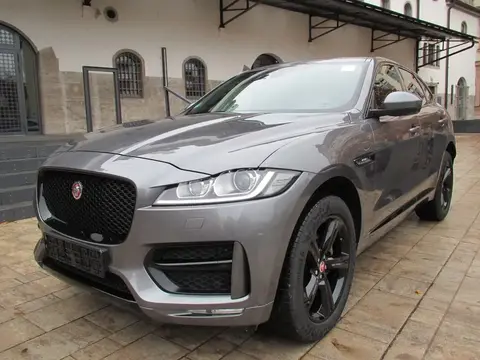 Annonce JAGUAR F-PACE Diesel 2019 d'occasion 