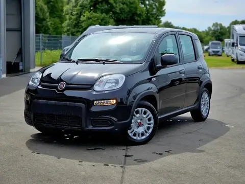 Annonce FIAT PANDA Essence 2024 d'occasion 