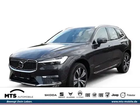 Annonce VOLVO XC60 Diesel 2024 d'occasion 