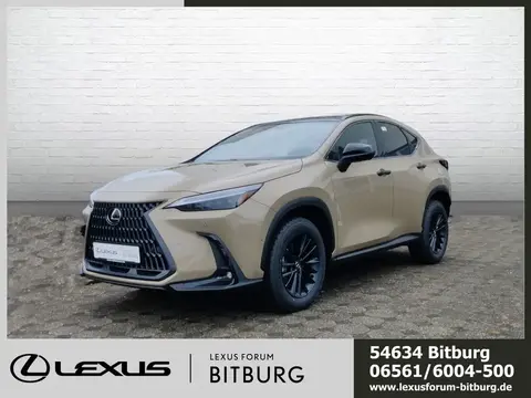 Annonce LEXUS NX Hybride 2024 d'occasion 