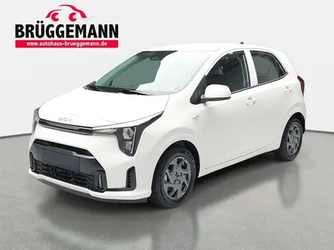 Annonce KIA PICANTO Essence 2024 d'occasion 