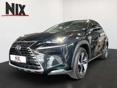 Used LEXUS NX Hybrid 2021 Ad 