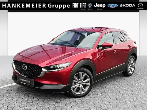 Annonce MAZDA CX-30 Hybride 2024 en leasing 