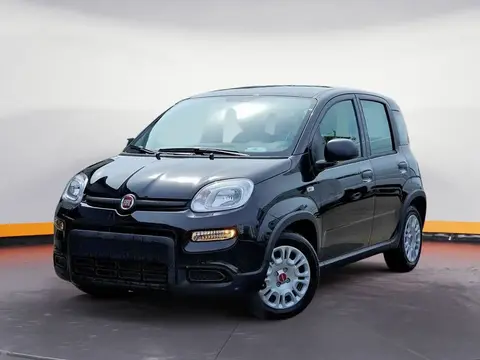 Annonce FIAT PANDA Essence 2024 d'occasion 