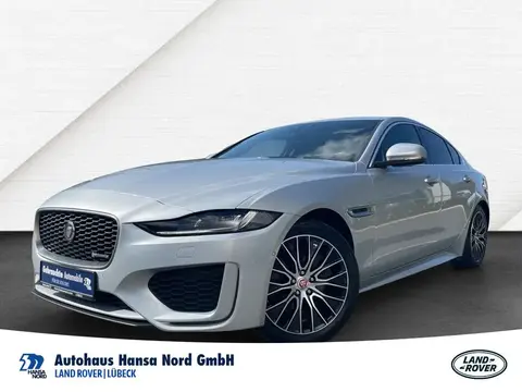 Used JAGUAR XE Diesel 2020 Ad 