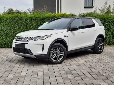 Used LAND ROVER DISCOVERY Diesel 2020 Ad 