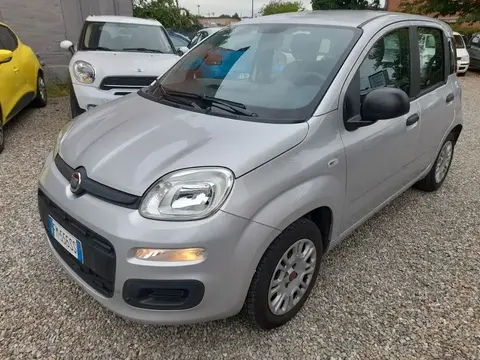 Annonce FIAT PANDA Essence 2018 d'occasion 