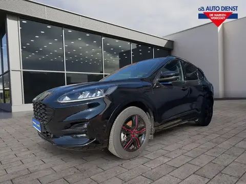 Annonce FORD KUGA Hybride 2021 d'occasion 