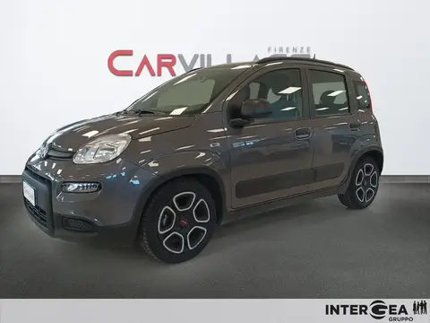 Annonce FIAT PANDA Hybride 2021 d'occasion 