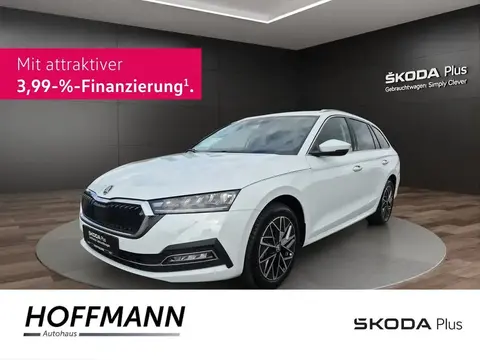 Annonce SKODA OCTAVIA Diesel 2023 d'occasion 