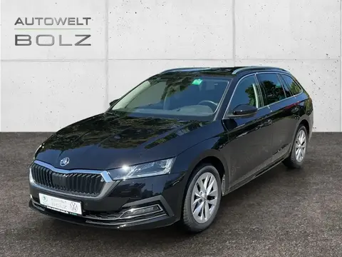 Annonce SKODA OCTAVIA Diesel 2023 d'occasion 