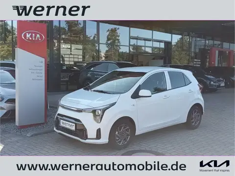 Annonce KIA PICANTO Essence 2024 d'occasion 