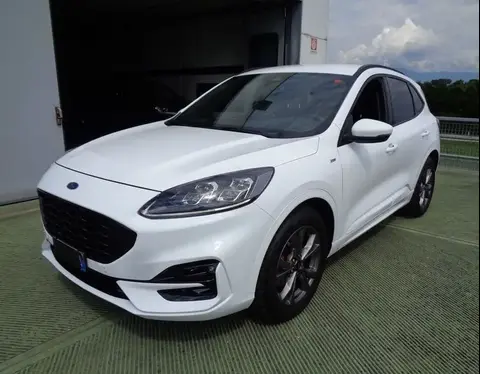 Used FORD KUGA Hybrid 2021 Ad 