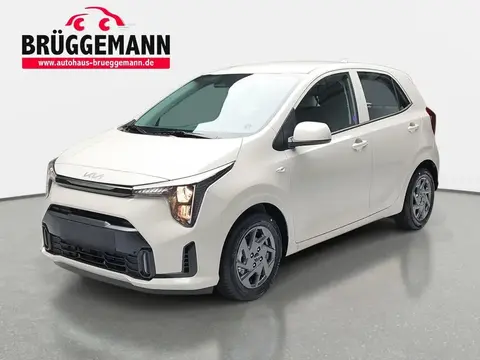 Used KIA PICANTO Petrol 2024 Ad 