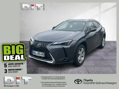 Used LEXUS UX Hybrid 2023 Ad 