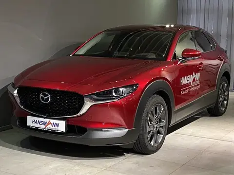 Annonce MAZDA CX-30 Hybride 2023 d'occasion 