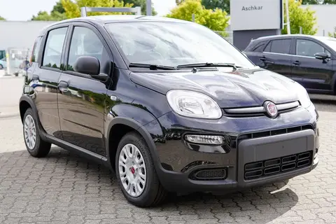 Annonce FIAT PANDA Essence 2024 d'occasion 