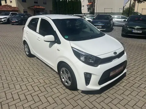 Used KIA PICANTO Petrol 2019 Ad 