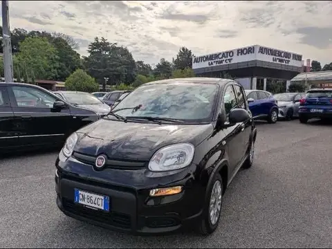 Used FIAT PANDA Hybrid 2023 Ad 