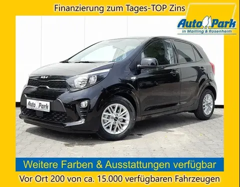 Used KIA PICANTO Petrol 2023 Ad 