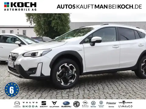 Used SUBARU XV Petrol 2023 Ad 