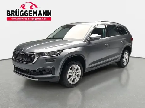 Used SKODA KODIAQ Diesel 2023 Ad 