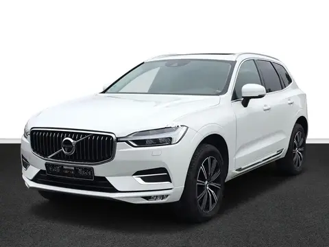 Used VOLVO XC60 Diesel 2019 Ad 